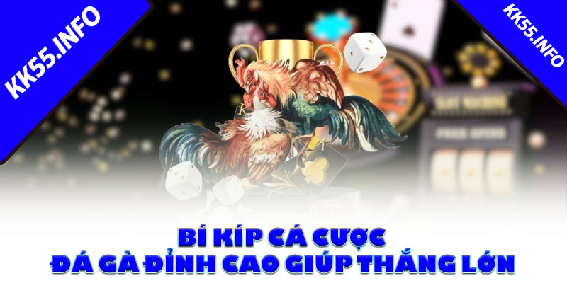 Bí kíp cá cược đá gà đỉnh cao giúp thắng lớn