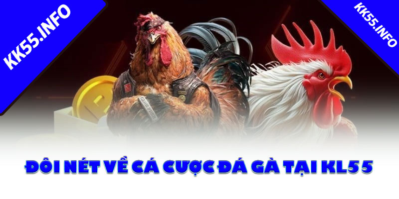 Đôi nét về cá cược đá gà tại KK55